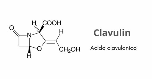 A cosa serve l’antibiotico Clavulin?