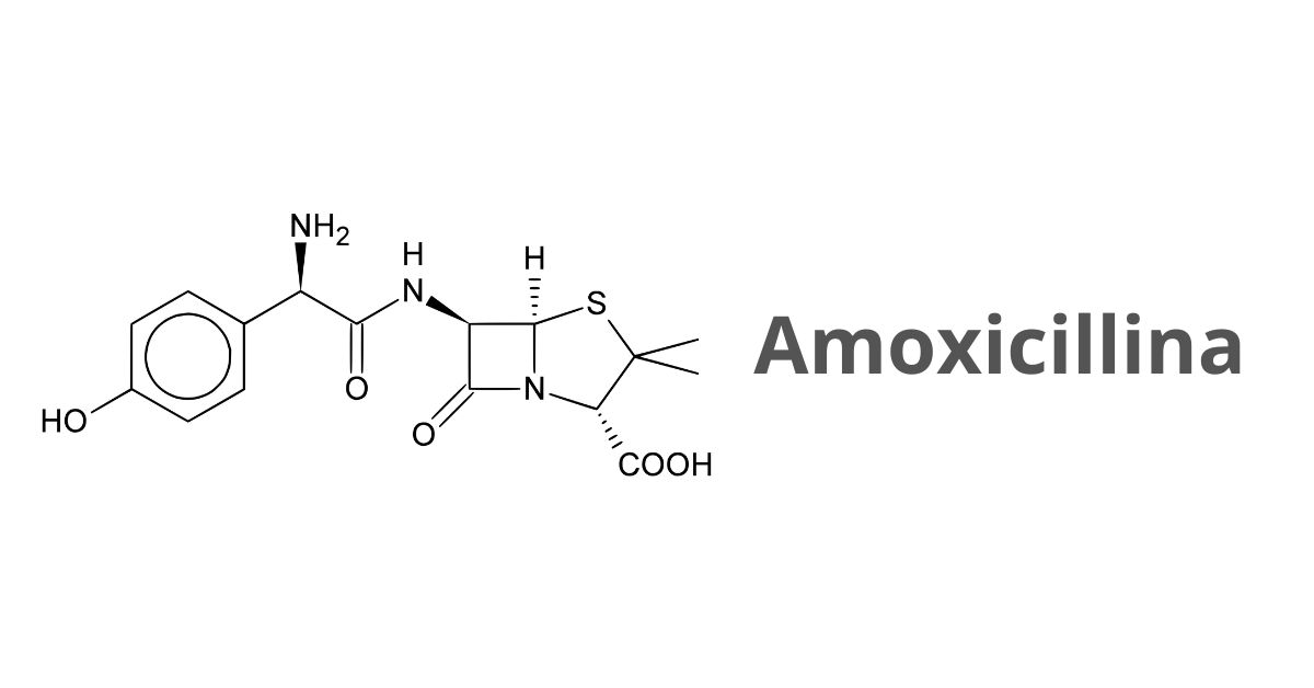 A cosa serve amoxicillina e acido clavulanico 875 mg 125 mg?